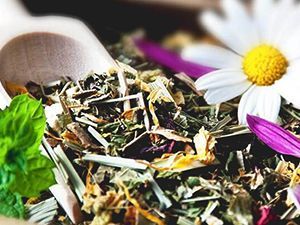 INFUZII DIN PLANTE - HERBAL TEA