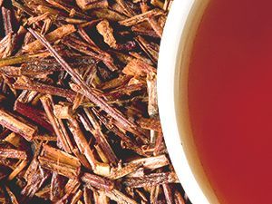 ROOIBOS - HONEYBUSH