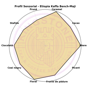 Etiopia Kaffa – Forest Bench-Maji | Cafea de Origine Sălbatică | Kingstone