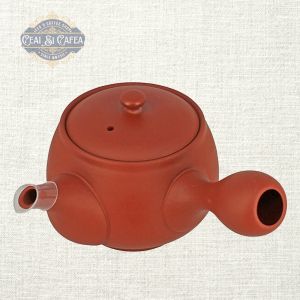 Tokoname Sasame Kyusu Ceainic Japonez 320 ml cu Sită Ceramică