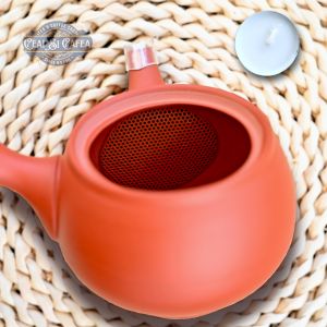 Tokoname Sasame Kyusu Ceainic Japonez 320 ml cu Sită Ceramică