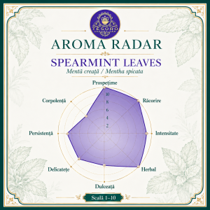 Grafic aroma ceai menta spearmint, mentha spicata