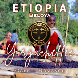 cafea-single-origin-etiopia-yirgacheffe regiunea beloya