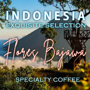 ferma de cafea Indonesia - FLORES BAJAWA 
