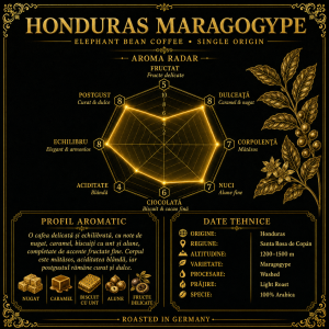 grafic aroma cafea maragogype
