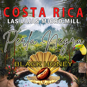 Costa Rica Perla Negra – Black Honey, Cafea Rară Premium
